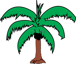 椰子,棕櫚,植物