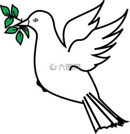 動物,鳥,枝杈
