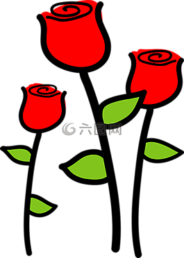 鮮花,玫瑰,開花
