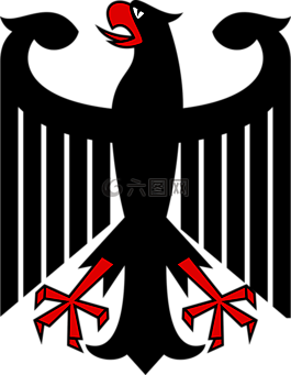 動(dòng)物,鳥(niǎo),鷹