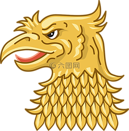 動(dòng)物,鳥(niǎo),鷹