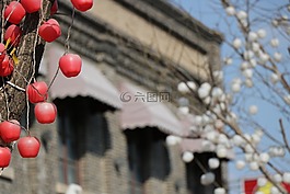 春,olddays,歷史