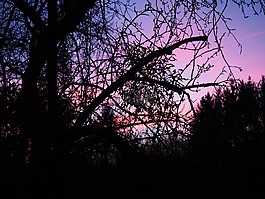 余輝,晚上,abendstimmung
