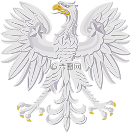 動物,鳥,鷹