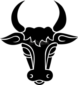 動(dòng)物,公牛,牛