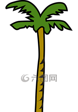 椰子,棕櫚,植物