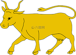 動(dòng)物,公牛,牛