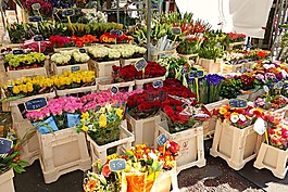 鲜花,花店,花失速