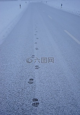 痕跡,雪,路