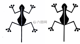 兩棲類,青蛙,拉納