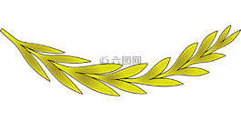 枝杈,葉,葉菜類