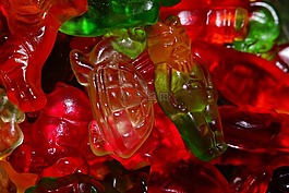 果凍組合,gummib?rchen,酪