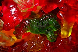 gummib?rchen,酪,果凍組合