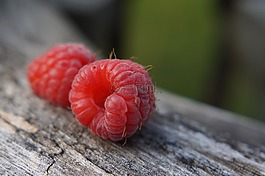 覆盆子,水果,红色