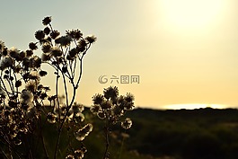 borkum,晚上,沙丘