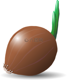洋蔥,食品,蔬菜