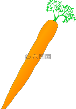 胡蘿卜,蔬菜,食品