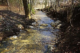 過獨身生活,河,水域
