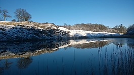 水,自然,全景