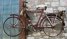自行車,生疏,現(xiàn)年