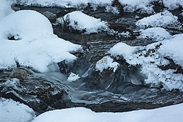 雪,冬季,冰