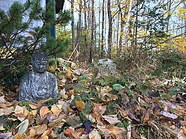 花園,雕像,佛