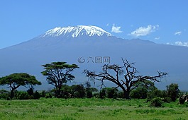 乞力馬扎羅山,肯尼亞,山