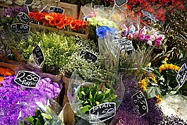 鲜花,花店,花失速