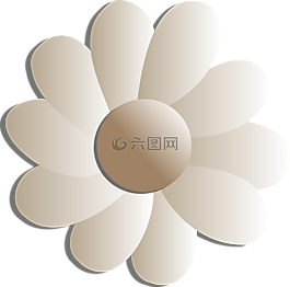 鮮花,白,花的
