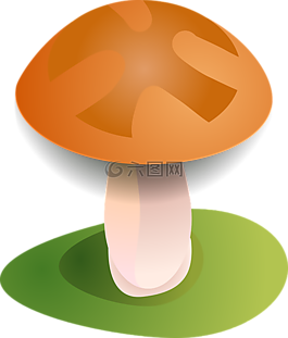 秋天,森林,菌類