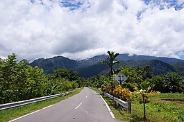 性質(zhì),樹(shù),旅行