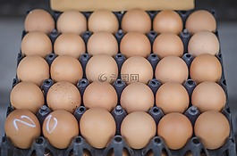 雞蛋,食品,復(fù)活節(jié)