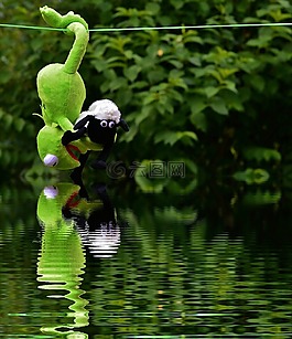 水,鏡像,掛