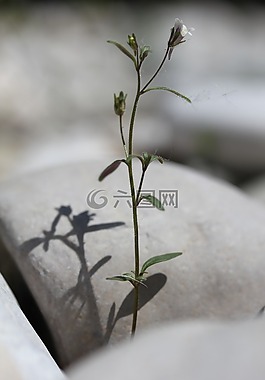 休息,風(fēng)水,平衡