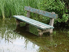 银行,高水,洪水