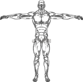 線性,計劃,機器人