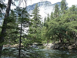 優(yōu)勝美地,山,伍茲
