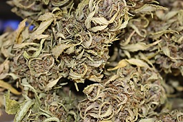 大麻,雜草,自然