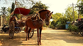 馬車,復(fù)古,路