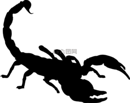 蜘蛛,書,危險(xiǎn)