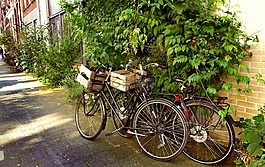 自行車,城市,停泊