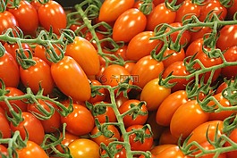 西紅柿,番茄,蔬菜