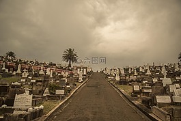墓地,烏賊,云