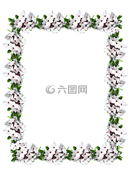 帧,边境,达芙妮