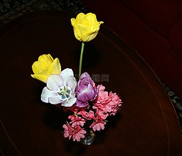 花的,植物,自然