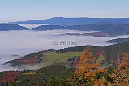 黑色的森林,秋天的颜色,herbstnebel