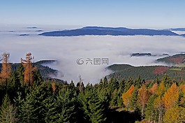 黑色的森林,秋天的颜色,herbstnebel