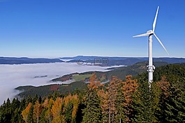黑色的森林,秋天的颜色,herbstnebel