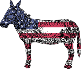 美国,民主党人,屁股