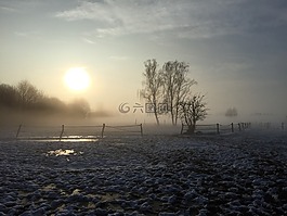 冬天,雪,草地